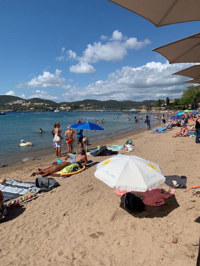 شقة Marion Plage كانيو سور مير المظهر الخارجي الصورة